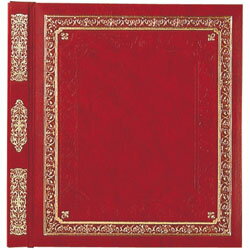 ナカバヤシ ア-LP-11A フエルアルバム Lサイズ パレス (LP-11A)