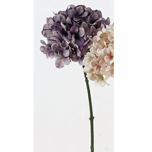 アスカ(Asca) ハイドランジア (A-32529-006)【入数:6】