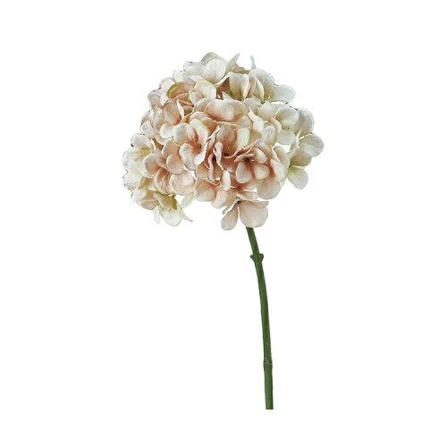 アスカ(Asca) ハイドランジア (A-32529-008A)【入数:6】