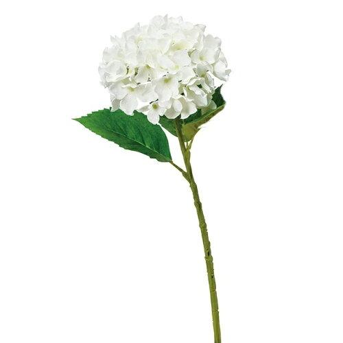 ASCA アスカ ハイドランジア (A-32617-001)【入数:6】