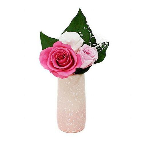 A&K A＆K プリザーブドフラワー 保夢-Pomu-(赤 花器なし) AKF-071 (2240832)