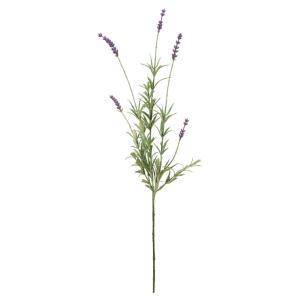 ASCA アスカ A-34767 ラベンダーX5 (72-34767-6)