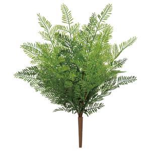 ASCA アスカ A-44461 ファーンブッシュ (72-44461-151)