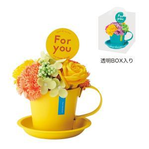 ���������������� ��2�����:��ʬ��ȯ����5250-YE �ӥӥåɥޥ������ץե� ��������������:2��