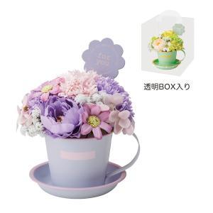 ���������������� ��2�����:��ʬ��ȯ����5243-PU �ߥ륭���ޥ������ץե� �ѡ��ץ������:2��