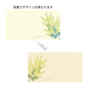 ケー・イー・アイ ギフトメッセージカード 両面印刷 (5305)【入数:10】