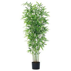 ASCA アスカ A-51119 バンブーツリー(ポット付) (72-51119-151)