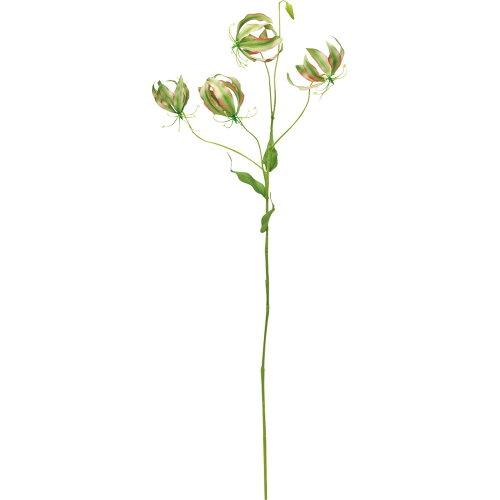 アスカ(Asca) グロリオサX4 つぼみX1 (A-33906-051P)【入数:12】