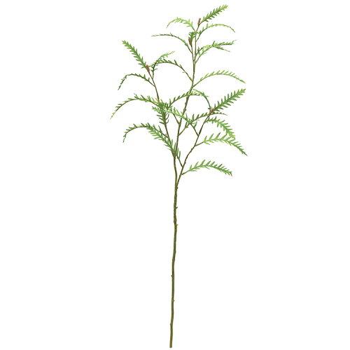 アスカ(Asca) グレビレアリーフ (A-43985-051A)【入数:12】