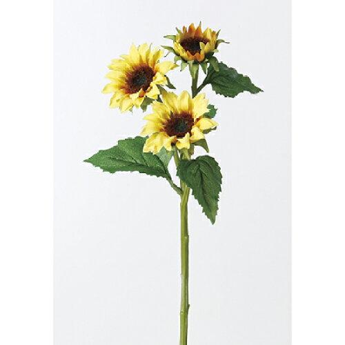 アスカ(Asca) サンフラワーX3 (A-32653-010)【入数:12】