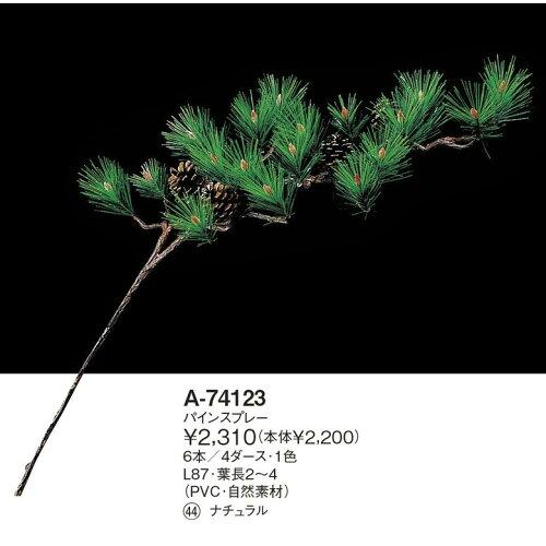 ASCA アスカ パインスプレー (A-74123-044)【入数:6】