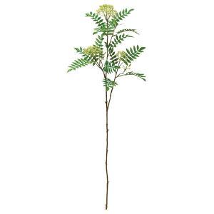 アスカ(Asca) ナナカマド (A-47920-051A)