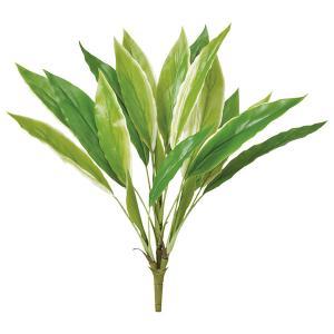 ASCA アスカ ドラセナブッシュ (A-43841-053A)