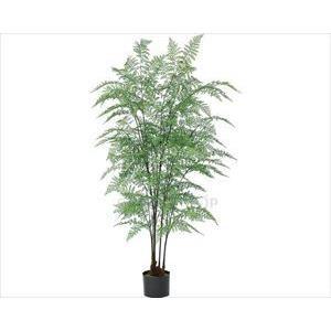 アスカ(Asca) ファーン(ポット付)【造花観葉樹】 (A-50931-051A)