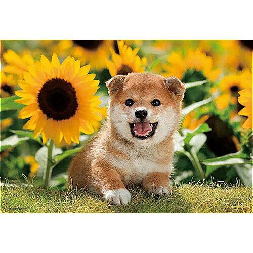 ビバリー ペットジグソーパズル ひまわりとボク 300ピース 300-064 (2176310)