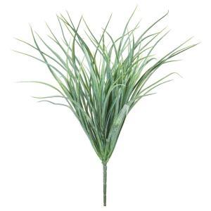 ASCA アスカ グラスブッシュ (A-44550-051F)【入数:12】