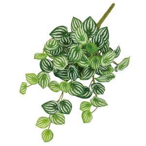 ASCA アスカ スイカペペハンギングブッシュ (A-44555-051V)【入数:12】