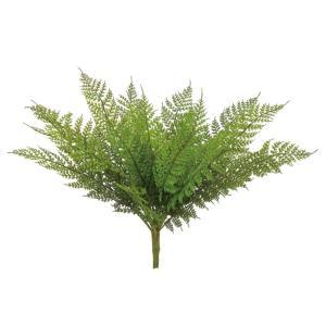 ASCA アスカ ファーンブッシュ (A-44570-051A)【入数:6】