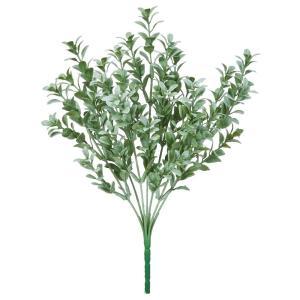 アスカ(Asca) ボックスウッドブッシュ (A-44593-051A)【入数:24】