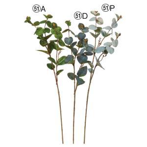 ASCA アスカ ユーカリ (A-44595-051A)【入数:24】