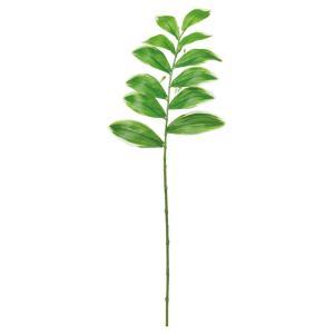 ASCA アスカ ナルコユリ (A-44604-053A)【入数:12】