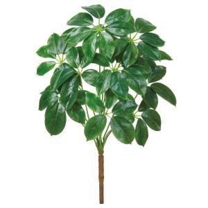 ASCA アスカ シェフレラブッシュ (A-44608-051A)