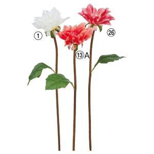 ASCA アスカ ダリア (A-35041-001)【入数:24】