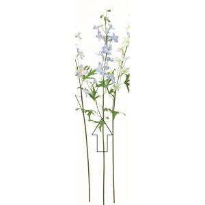 ASCA アスカ デルフィニウム (A-35043-019)【入数:12】