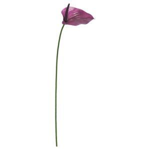 ASCA アスカ アンスリウム (A-35047-007D)【入数:12】