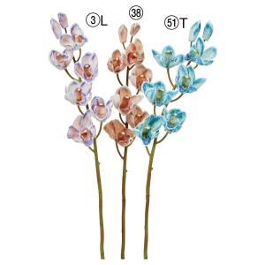 ASCA アスカ シンビジューム×6 つぼみ×2 (A-35050-003L)【入数:6】