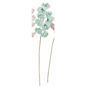 ASCA アスカ スイトピー×9 (A-35061-051M)【入数:24】