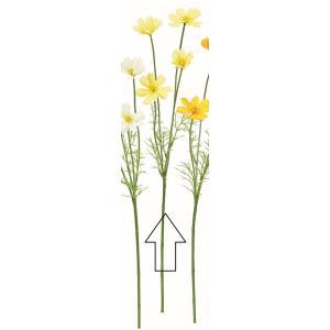 ASCA アスカ コスモス×4 (A-35066-010)【入数:24】