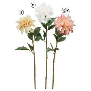 ASCA アスカ ダリア (A-35094-008)【入数:12】