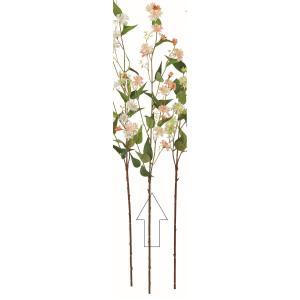 &nbsp;メーカー&nbsp;ASCA アスカ&nbsp;商品カテゴリ&nbsp;フラワー・観葉植物＞造花&nbsp;発送目安&nbsp;2日〜3日以内に発送予定（土日祝除）&nbsp;お支払方法&nbsp;銀行振込・クレジットカード&nbsp;送料&nbsp;送料無料&nbsp;特記事項&nbsp;&nbsp;その他&nbsp;