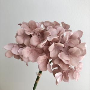 アスカ(Asca) ハイドランジアバンチ(1束3本) (A-35115-055C)【入数:24】