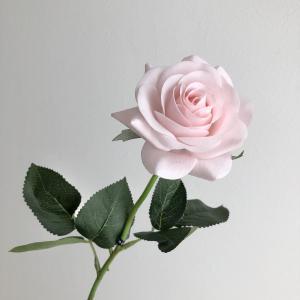 アスカ(Asca) ローズ (A-35164-013)【入数:24】