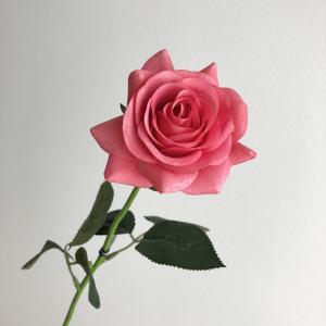 ASCA アスカ ローズ (A-35164-023H)【入数:24】