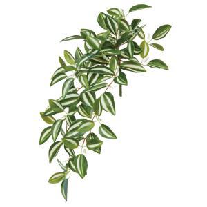 ASCA アスカ ワンダリングジューハンギングブッシュ (A-44649-051V)【入数:12】