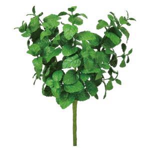 ASCA アスカ ミントブッシュ (A-44651-051A)【入数:12】