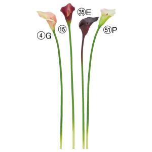 ASCA アスカ カラーリリィ (A-35157-004G)【入数:24】