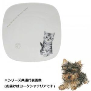丸勝 わんコレ スクエアプレート(大) ヨークシャテリア wa-psql-S9 (1432855)