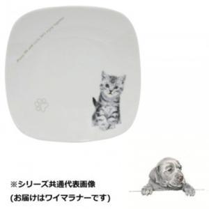 丸勝 わんコレ スクエアプレート(大) ワイマラナー wa-psql-S18 (1432864)