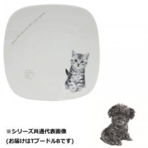 Rakuten - 丸勝 わんコレ スクエアプレート(大) TプードルB wa-psql-S41 (1432885)
