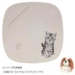 丸勝 わんコレ スクエアプレート(大) ロイヤル キャバリア wa-psql-G11 (1432896)