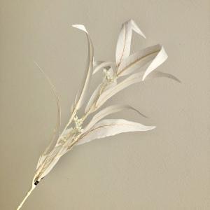 ASCA ������ �桼���� (A-43973001)