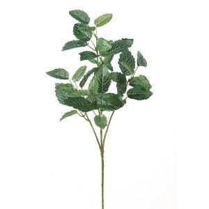 ASCA アスカ フィットニア (A-42044-051A)