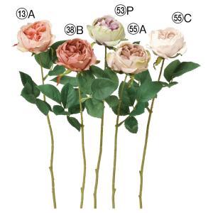 ASCA アスカ ローズ (A-34853-055C)