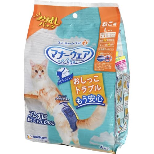 [��ˡ����㡼��]�ޥʡ������� �ͤ���L������ ����ѥå�4���� (-)