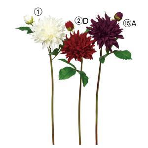 ASCA アスカ ダリア ワイン (A-34518015A)【入数:12】