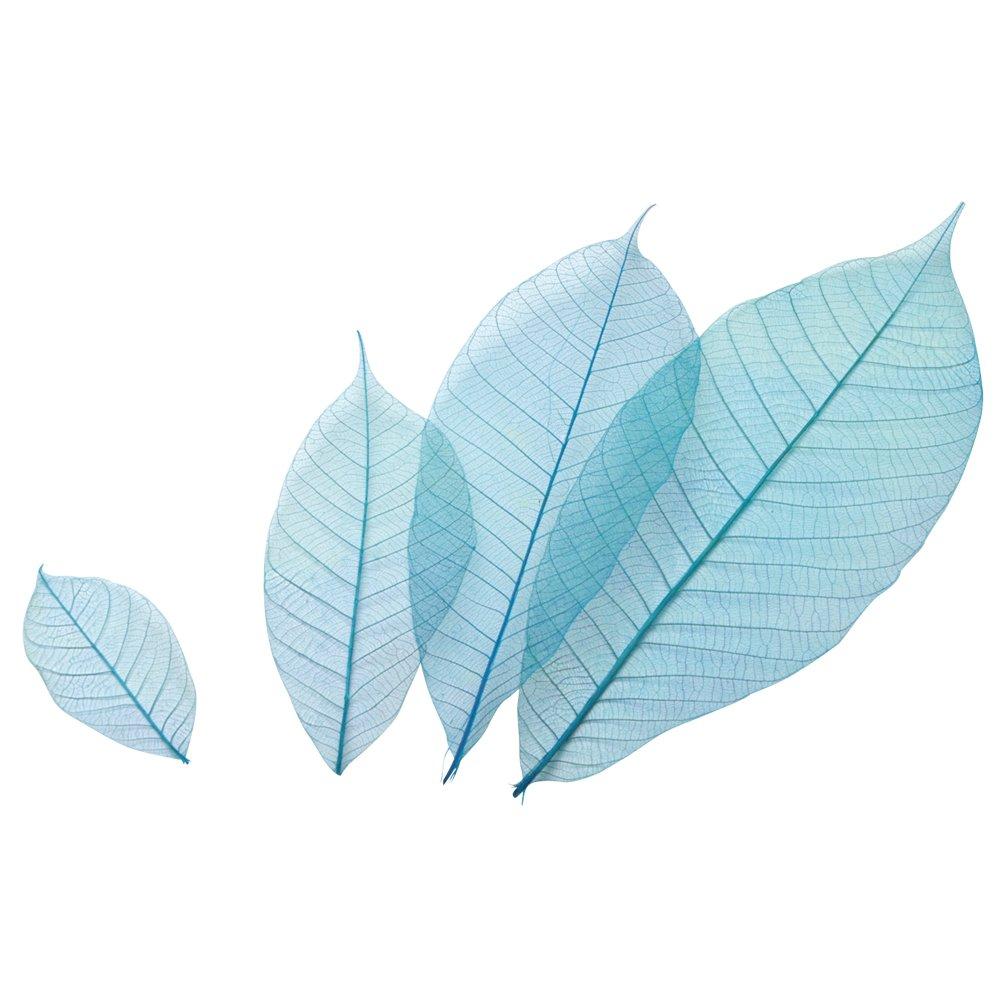 萬洋(Manyo) 萬洋 カラースカシ木の葉(青)約13cm50入 18-786B (1198777)